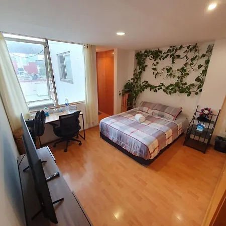Private Room In Roma Norte